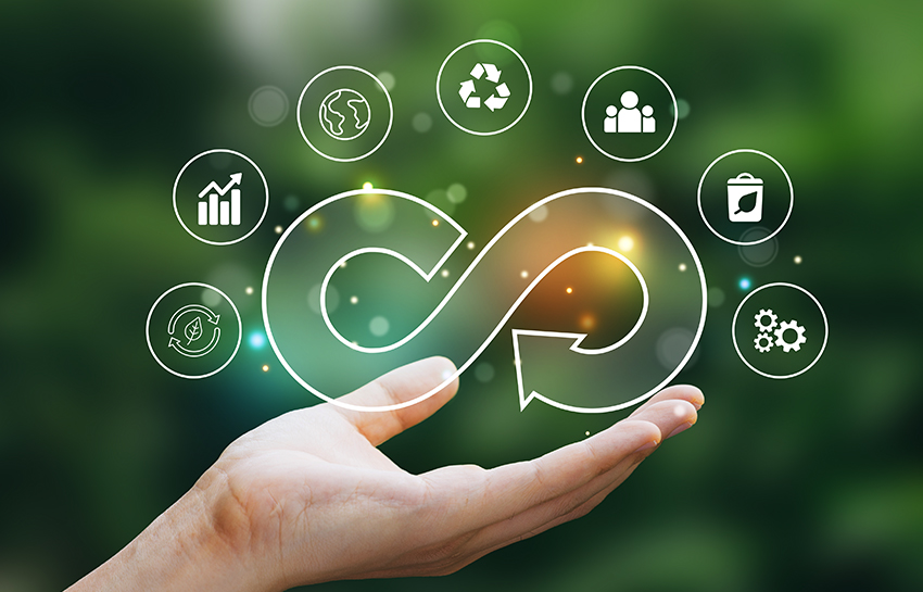 Eco-Friendly Pharma Export Innovations